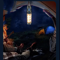 Outdoor Waterdichte Oplaadbare Led Licht Mini Camping Solar Bug Zapper Muggenmoordenaar Lamp Met Driehoek Stent Wandlampen