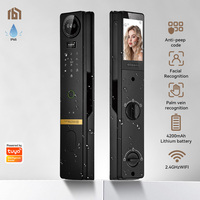 Serrure de porte intelligente pour portes en acier/bois, WiFi, reconnaissance faciale, appel vidéo, construction en alliage d'aluminium, étanche IP65, pour maison et appartement