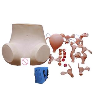 Palpatie Gynaecologisch Onderzoek Training Dummy, <span class=keywords><strong>Iud</strong></span>, <span class=keywords><strong>Vagina</strong></span>, Baarmoeder Model - Product Image 1