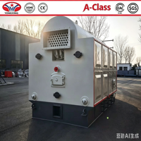 Chaudière à eau chaude automatique de type DZL, alimentée en granulés, horizontale, industrielle, pour le chauffage commercial et les applications industrielles