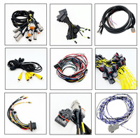 Harnais de câblage avec connecteur en cuivre personnalisé en usine avec lampe LED