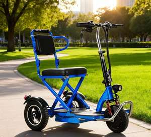 دراجة كهربائية ثلاثية العجلات للترفيه لكبار السن، قابلة للطي، بحجم الكبار، مفتوحة الهيكل، لشخص واحد، بمدى 30 كم، مركبة سهلة الوصول - Product Image 6