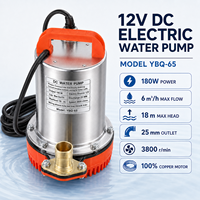 Pompe à eau submersible YBQ-65 12V24V DC pour l'irrigation et le drainage