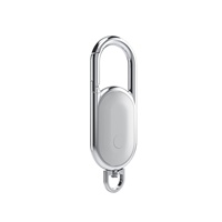 Traceur GPS GSM Métal Mini Étanche IP67 pour Animaux de Compagnie, Anti-Perte, pour Chiens et Chats, avec Porte-clés, Autonomie de 1 An, Stockage Cloud