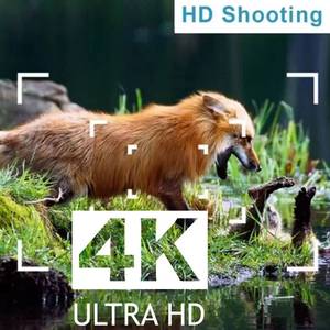 Cámara de Caza HC-600A, 50MP, 4K, Visión Infrarroja, IP65, Energía Solar, para Exteriores, Bosques, Ciervos, Día y Noche - Product Image 3
