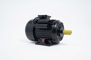 Motor de Inducción Monofásico de Alta Resistencia Bhavi Industries BI-2-CH 2HP 2kW 210-230V 12.5A 1500RPM 95mm IE2 TEFC Montaje en Pedestal - Product Image 6