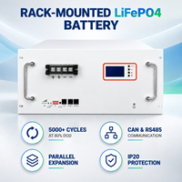 Batterie de stockage d'énergie LiFePO4 51,2V 5Kwh 10Kwh 15Kwh, rack de batteries de stockage d'énergie, batterie lithium-ion 48V 100Ah 200Ah 300Ah