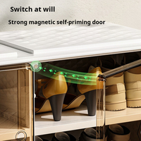 Boîte de rangement à chaussures pliable élégante en plastique avec portes magnétiques et design transparent pour salle de bain et salon