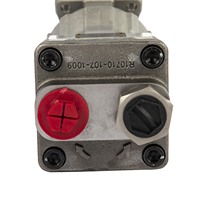 Pompe à piston hydraulique Rexroth A17FO A17FO080/10NLWK0E81-0 80cc, pompe à piston axial à cylindrée fixe à axe coudé pour camion benne
