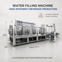 Ligne de remplissage automatique de bouteilles de bière en verre avec remplisseur isobare à valve électronique pour usine de brassage