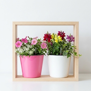 Verified Manufacturer Premium PP <b>Plastic</b> Double Layer Smart Flower Pots Colorful Self-Watering Planters B2B - Product Image 1
