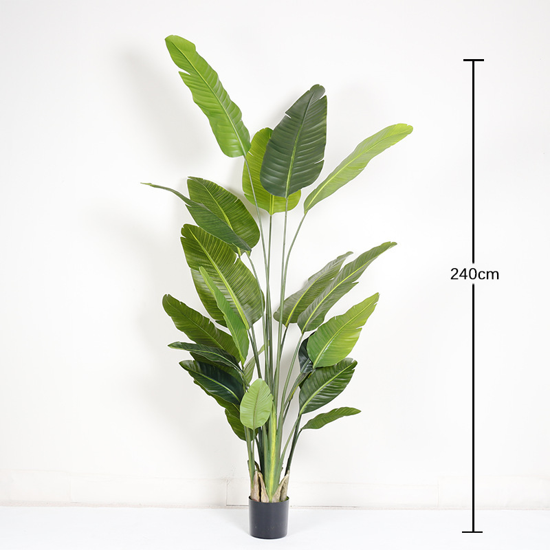 240cm