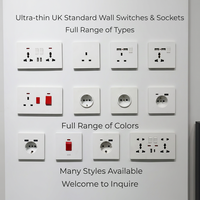 Prise murale ultra-fine ignifuge en PC, norme britannique, avec ports USB, IP22, pour projets industriels, résidentiels, hôteliers et d'ingénierie
