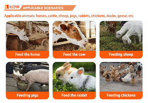 <span class=keywords><strong>ราคา</strong></span>ใหม่ลดลง 3.8-4 ตัน/ชม. เครื่องตัดฟางข้าวโพด หญ้าแห้ง สำหรับสัตว์ ทำจากสแตนเลส เหมาะสำหรับวัว แกะ โค ใช้ทำอาหารสัตว์ - Product Image 4