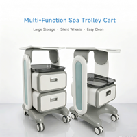 Chariots esthétiques Chariot 2 Tiroirs ABS Blanc Clinique Quatre Roues Portable Beauty Machine Salon Beauty Trolley