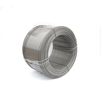 Großhandel schweres Zelt Verwenden Sie Flat Spring Steel Flat Spring Wire Pop Up
