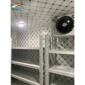 Cámara Frigorífica de 120 mm con Panel de PU y Certificación NSF, Mini Cámara Frigorífica de 10 m3, Unidad Monobloque, Refrigerador, Cámara Frigorífica - Product Image 3