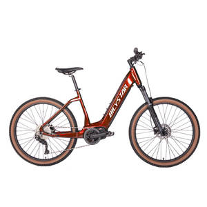Vélo électrique <span class=keywords><strong>vintage</strong></span> fat bike pour femmes, 500w, prix d'usine bon marché, pour la sécurité 100%, vente en gros - Product Image 4
