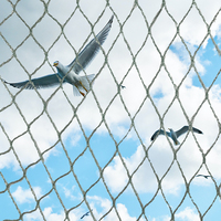 Filet vert pour oiseaux feuilles tombées empêchant la ferme avicole vignoble filet de jardin tissu de protection contre la grêle Anti oiseaux contre les filets