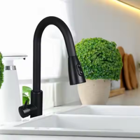 Robinets de cuisine modernes en acier inoxydable avec douchette extractible et mitigeur d'évier avec robinet d'eau