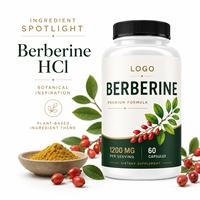 Offre Spéciale Berberine100 % Extrait d'herbe pure Vinaigre Cannelle de Ceylan Hcl 500mg Phytosome Thé Suppléments Berbérine Capsule pour la santé
