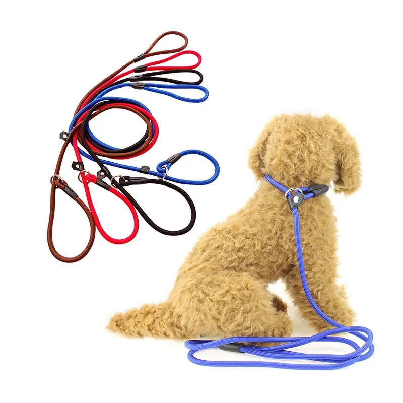 Custom Logo Puppy P Chain Harness Training Nylon Traction &Amp;Rope Retractable Dog Leash Pet Collars & Leashes