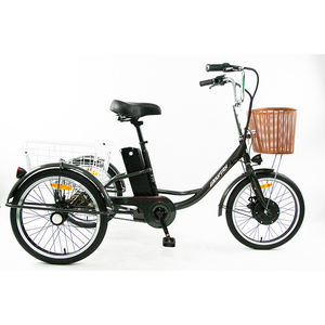 ODE OEM <span class=keywords><strong>vélo</strong></span> cargo électrique 48V batterie au lithium 20 pouces cadre en acier support arrière 36V tension frein à disque à vitesse unique fabriqué en Chine - Product Image 4