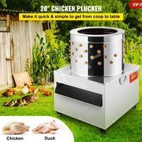 Plumeuse à poulet entièrement automatique grande capacité, modèle 60, avec nouveau moteur à roulement pour ligne d'abattage de cailles