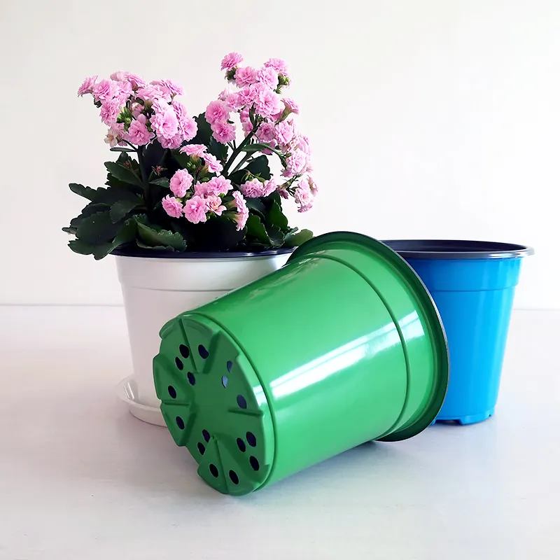 Pp Cor Rosa Preto Terracota Jardim Flor Planta Pástico Berçário Pote Branco Cor Dupla Macio Potes