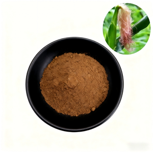 하이 퀄리티 도매 식품 학년 허브 추출물 10:1 옥수수 실크 오명 분말 건강 제아 메이스 L 용제 추출 - Product Image 2