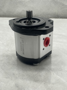 Pompe à engrenages externe hydraulique série AZPW AZPB AZPS AZPN AZPG AZPF AZPG-22-036RCB20MB 0510725168 - Product Image 4