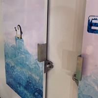 Réfrigérateur mural vertical sur mesure à 2 portes pleines, à froid direct, pour blocs de glace, de type usine