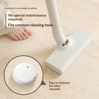 Tapis en polyester pelucheux de haute qualité, fin, imperméable et résistant aux taches, pour salon et chambre à coucher, design moderne et minimaliste, facile à nettoyer
