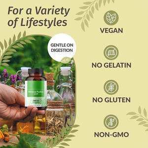 Capsules de graines de <span class=keywords><strong>Mimosa</strong></span> Pudica en marque privée OEM, soutien immunitaire à base de plantes, complément alimentaire de qualité alimentaire pour adultes - Product Image 2