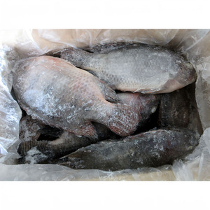 <span class=keywords><strong>ปลา</strong></span>ทิลาเปีย 600-800 ตัว <span class=keywords><strong>ปลา</strong></span>ทิลาเปียเพาะเลี้ยงขายส่ง <span class=keywords><strong>ปลา</strong></span>ทิลาเปียดำทั้งตัวแบบยกกระสอบ - Product Image 5