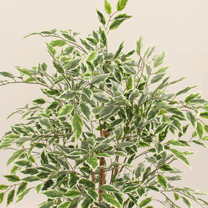 เบนจามินปลอมกระถางต้นไม้ปลอมสำหรับตกแต่งต้นบันยันประดิษฐ์จากโรงงาน - Product Image 3