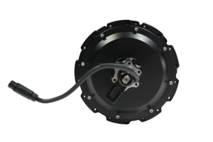 Moteur BLDC personnalisable 350W à prix d'usine, 154 rayons, pour conversion de vélo électrique, moteur de moyeu 154 rayons pour jante nue - Product Image 3