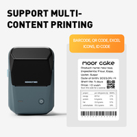 Étiqueteuse NIIMBOT B1 avec Auto-Identification, Imprimante d'Étiquettes Portable Bluetooth de 2 Pouces Facile à Utiliser pour le Bureau, la Maison et les Entreprises