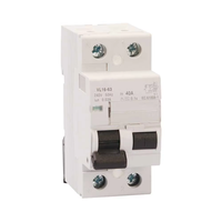 Interruptor Diferencial RCCB de 2P 4P, Tipo AC RCD CE, 25A 40A 63A 6kA 10kA 10mA 30mA 100mA 300mA, Material de Cobre