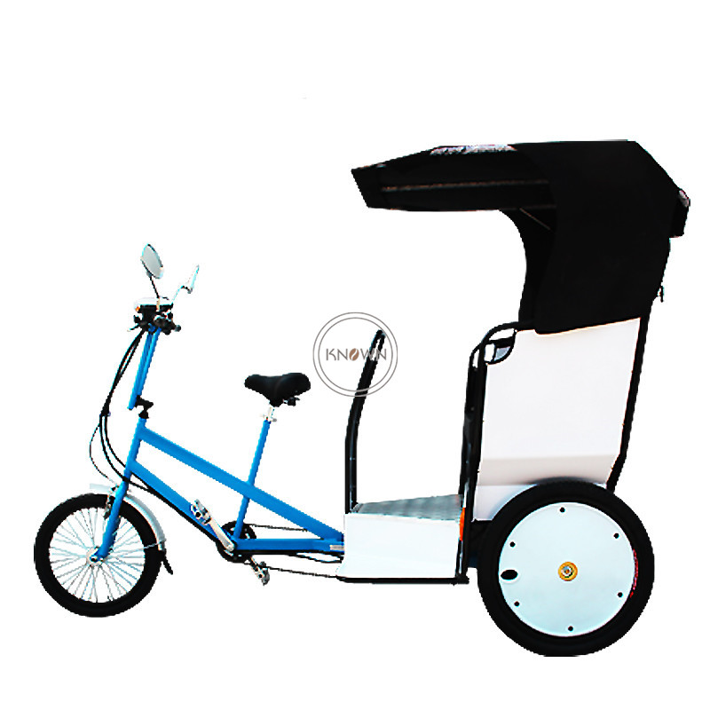 緑色の三輪車人力車 71UClrYnRxL._UF894,1000_QL80_.jpg