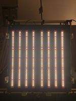 Barres de lampes LED de culture Samsung LM301B LM301H à spectre complet, 600W 630W 640W 650W, luminaire Gavita Pro 1700e