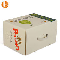 Benutzer definierte bedruckte Papp trage Box Kunststoff griff Personal isierte Obst Geschenk verpackung Landwirtschaft Kissen druck Starre Boxen