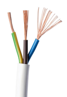 Kabel RVV 2-core 3-core 4-core 1.5mm 2.5mm 4.0mm 6mm Berisolasi PVC Harga Grosir, Digunakan untuk Instalasi Bangunan dan Pasokan Daya
