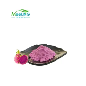 Schlussverkauf rotes Drachenfruchtpulver gefriert getrocknetes rosa Pitaya-Pulver rotes Pitaya-Pulver