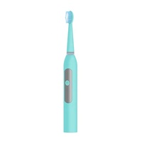 Brosse à dents électrique sonique personnalisée avec batterie de base, étanche IPX7, idéale comme rechange pour les invités ou pour les voyages d'urgence