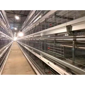 H Type Couche Poulet Poules Cage Ferme De Volaille Mangeoire Poussins Rôtissoire Équipement Automatique Batterie Tiré Poulailler Maison - Product Image 5