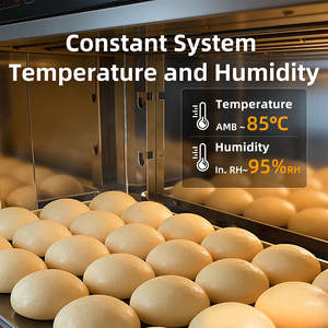 Équipement <span class=keywords><strong>de</strong></span> cuisine, machine <span class=keywords><strong>de</strong></span> <span class=keywords><strong>boulangerie</strong></span>, machine à faire du pain, étuve à levée électrique, <span class=keywords><strong>chambre</strong></span> <span class=keywords><strong>de</strong></span> <span class=keywords><strong>fermentation</strong></span> à porte simple - Product Image 4