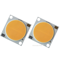 LED COB personnalisée 100W 200W 300W Bridgelux/Epistar LED COB haute puissance 2828 Cri95 200W LED COB