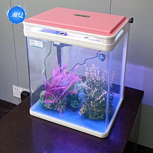 Luxe Mini Desktop <span class=keywords><strong>Aquarium</strong></span> Compact Zelfreinigend Glazen <span class=keywords><strong>Aquarium</strong></span> Met Led-Verlichting Voor Thuis En Kantoor Inclusief Tas Verpakt - Product Image 5