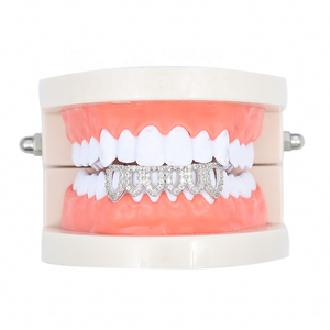 Modelo Dental Estándar para Entrenamiento, Otros Equipos Dentales en Oferta - Product Image 2